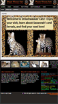 Mobile Screenshot of dreamweavercatz.com